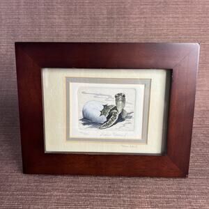 Diane Krumel “Turtle Hatching” Etch Art – Signed & Numbered 440/500 – Framed